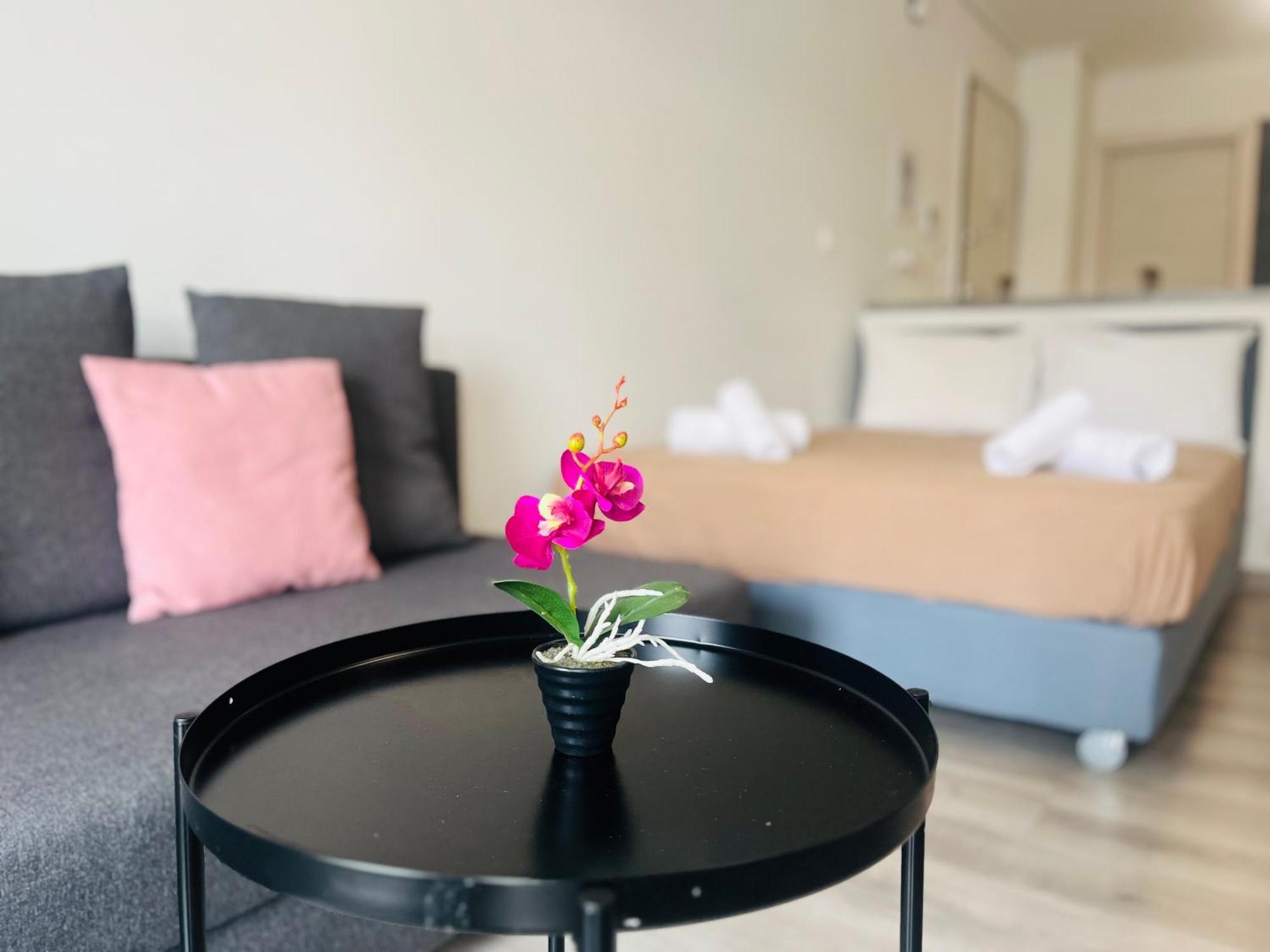 Elvita Apartments 4 Atina Dış mekan fotoğraf